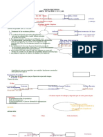 jucio_ejecutivo_esquema.doc