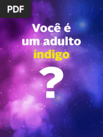teste-indigo.pdf
