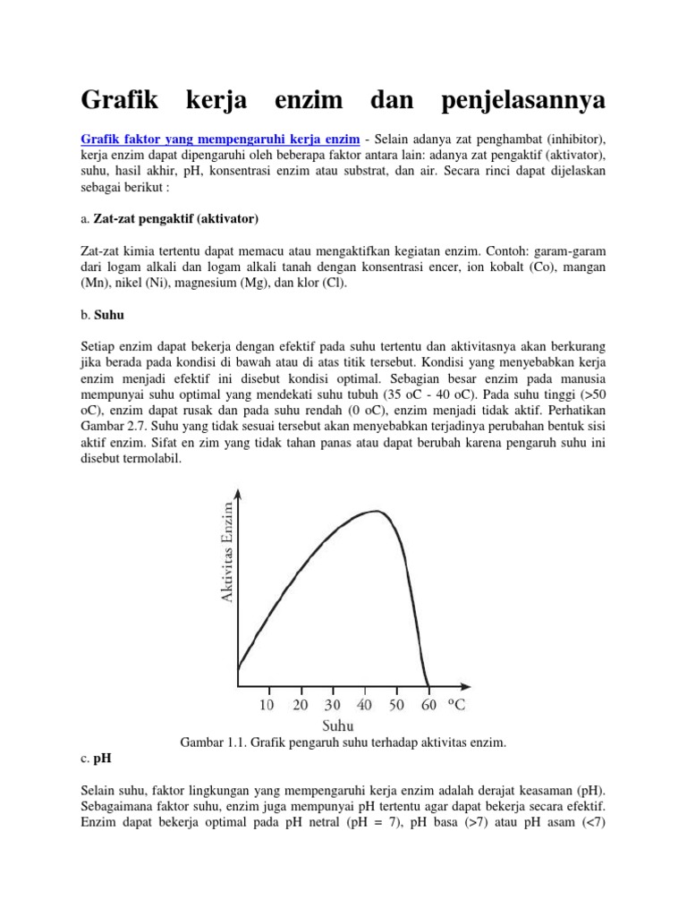Faktor faktor yang mempengaruhi kerja enzim katalase