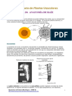 tema20.pdf