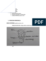  Anatomia Del Oido - Otorrinolaringología
