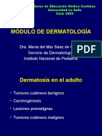 2. Dermatología Del Adulto