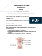 ficha embrio utero en el moemnto de la implantación.docx