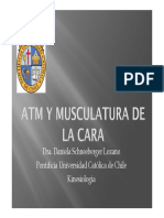 ATM+y+Musculatura+de+la+Cara.pdf