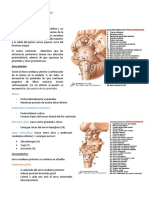 Tronco Encefalico y Cerebelo Resumen