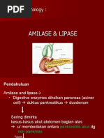 Amilase Lipase