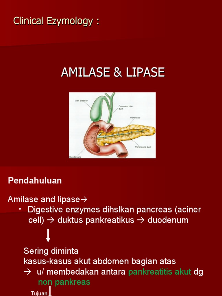 Amilase Lipase | PDF | Kesehatan Holistik