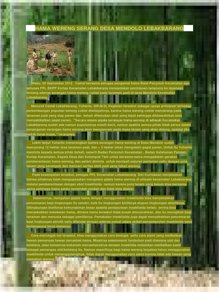 Tugas B Indo Hama Wereng