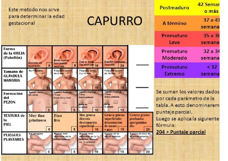 Capurro PDF