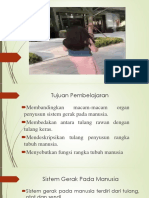 Sistem Gerak (Tulang)