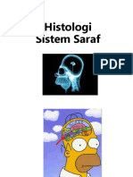 2. Histologi Sistem Saraf