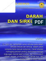 Darah 2008