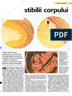 Combustibilii corpului.pdf