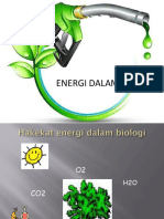 Energi Dalam Biologi