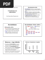 aula06_cruzamentos.pdf