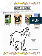 Com Són Els Cavalls Fitxa PDF