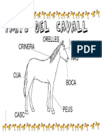 5. Parts Del Cavall