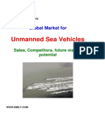 Global Market - USV - 2010 PDF