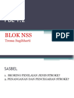 PBL Sasbel NSS 1.1