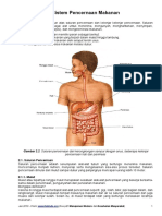 Sistem Pencernaan Makanan.pdf