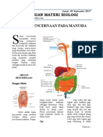 Sistem Pencernaan Pada Manusia