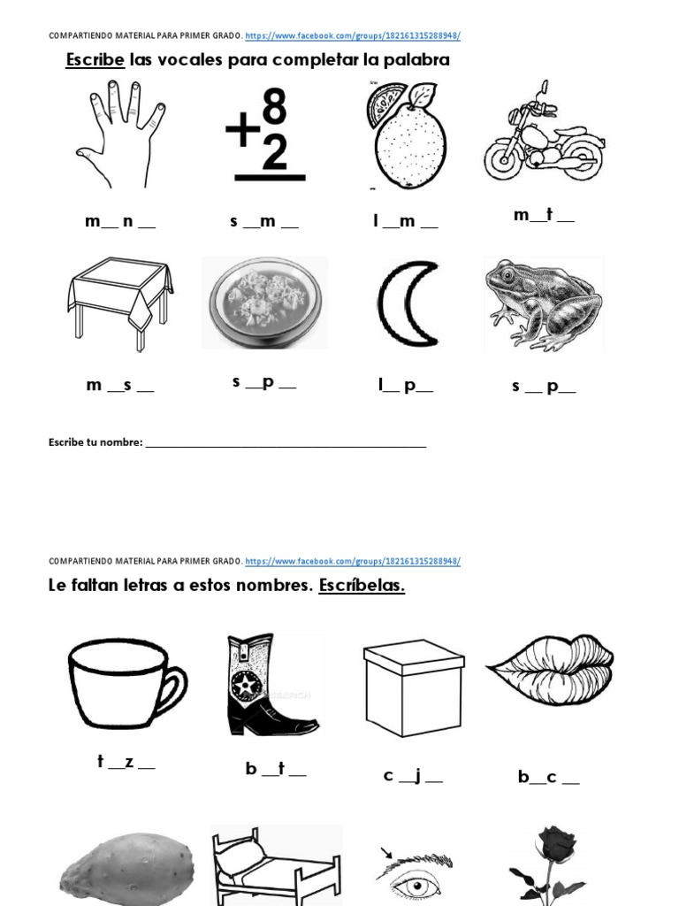 MATERIAL PRESILABICO SILABICO damian.pdf Organismos