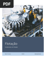Fundamentos_sobre_Flotacao.pdf
