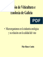 ELABORACION DE VINO.pdf