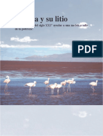 Bolivia y su litio.docx