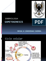 Gametogenesis.pptx