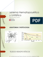 EXPO Sistemahematopoytico