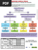 sindrome_gripal_classificacao_risco_manejo.pdf