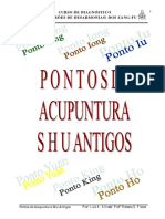 1.1.apostila Pontos Shu Antigos