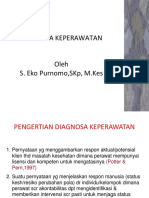 Diagnosa Keperawatan