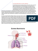 Sitema Digestivo