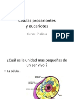 Las Células PPT Básico