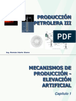 Capitulo 1B Mecanismos de Produccion