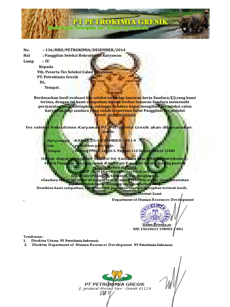 Surat Panggilan Pt Petrokimia Gresik