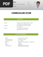 Curriculum Vitae