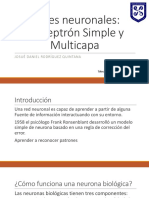 PerceptronSimple Presentacion