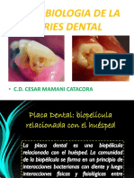 Microbiologia de La Caries Dental: - C.D. Cesar Mamani Catacora
