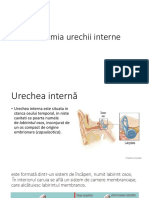 6.anatomia Urechii Interne