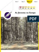 Florestas Da Europa