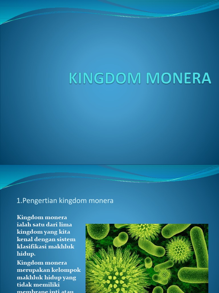 Ciri dan Manfaat Kingdom Monera | PDF