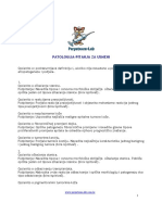 Patologija Usmeni Pitanja PDF