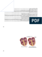 Cardiology