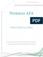Normas  APA final.pdf