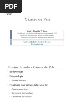 Aula - CA pele - alunos.pdf
