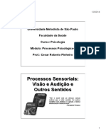 Aula 3 - Processos Sensoriais - Visão e Audição - 11.02.2014