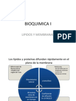 11.lipidos y Membranas Difun PDF